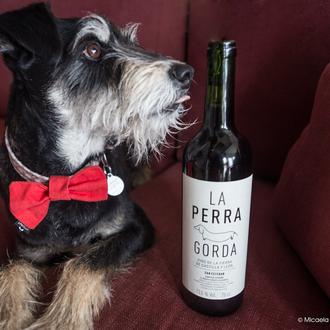 Tinto La Perra Gorda: placer para todos los sentidos de …