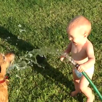 Muuuchos bebés refrescando a sus canes con chorros de agua …