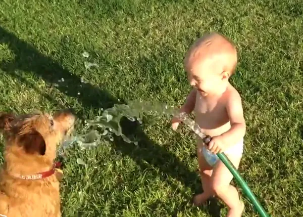Muuuchos bebés refrescando a sus canes con chorros de agua... ¡adios al caloret!
