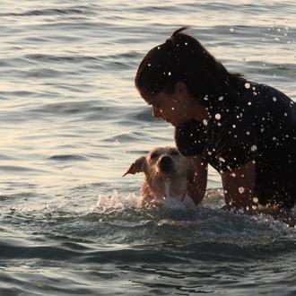Baños en el mar para una perra que se recupera …