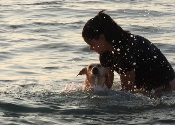 Baños en el mar para una perra que se recupera de un atropello