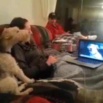 El perro que aullaba... al ordenador, también conocido como el …