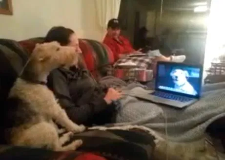 El perro que aullaba... al ordenador, también conocido como el perro Skype