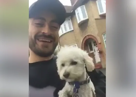 Un rescate perruno en directo: un hombre logra salvar a un can que can corría por una autopista