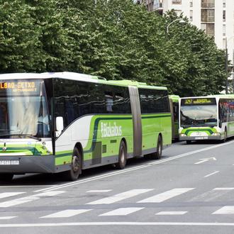 Los perros de hasta 8 kg pueden viajar en Bizkaibus …