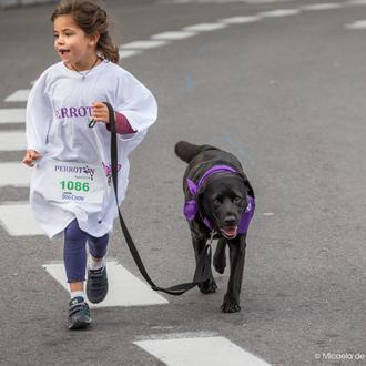 Miles de perros y un gato a la carrera: Las …