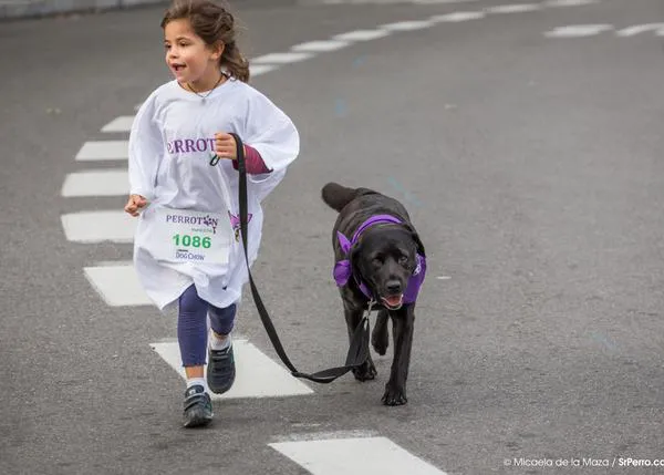 Miles de perros y un gato a la carrera: Las fotos de Perrotón 2014