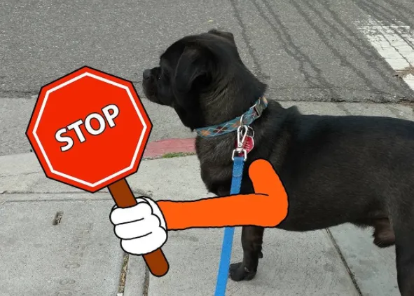 Las aventuras del perro adoptado al que le dibujan una pata nueva cada día
