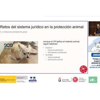 Intervenciones policiales ante el maltrato animal: alertan de la grave …