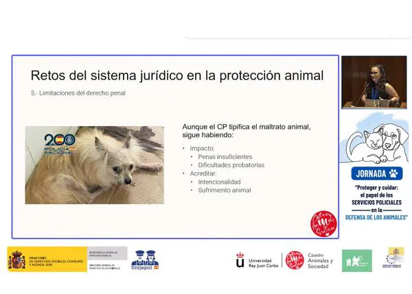 Intervenciones policiales ante el maltrato animal: alertan de la grave brecha que hay entre la legislación y lo que ocurre sobre el terreno