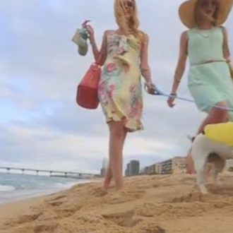 La balada de los perros Wifi: la banda sonora para …