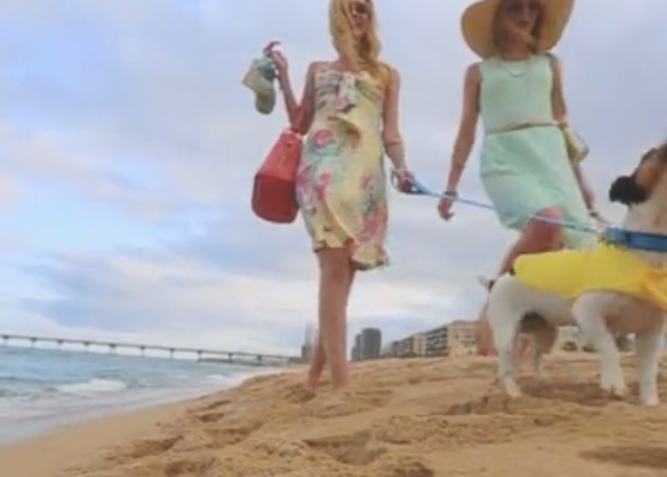La balada de los perros Wifi: la banda sonora para unas vacaciones, ejem, perrunas