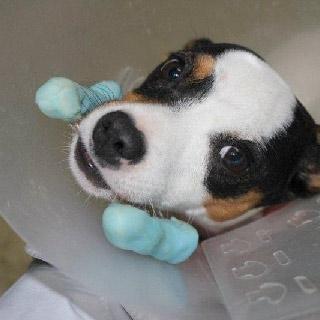 Espe, la bodeguera valiente, necesita donaciones