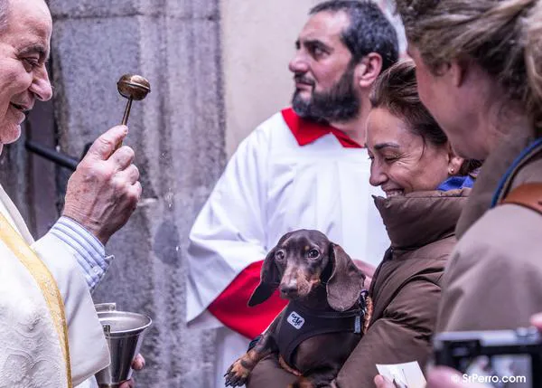 Programa de San Antón 2025 en Madrid: vueltas a la iglesia y algunas actividades para toda la familia