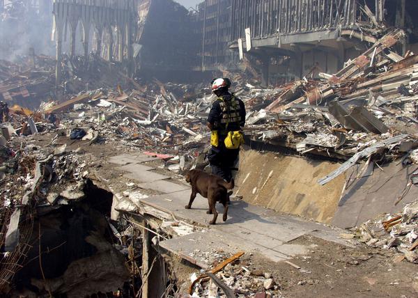 Varias exposiciones rinden homenaje al valor y entrega de los perros de rescate tras el 11-S