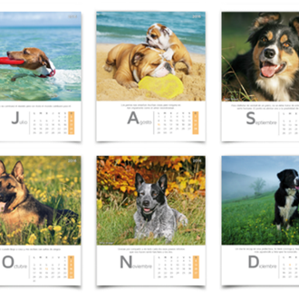 Perros guapos ayudan a otros perros guapérrimos: el calendario solidario …