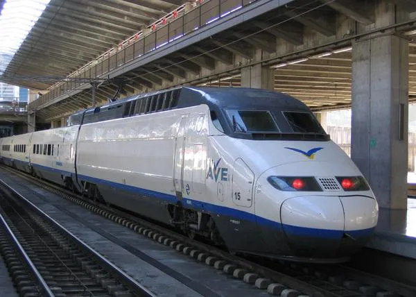 Denuncian el trato recibido por una pareja y sus perros en RENFE, ¡los echaron del AVE!