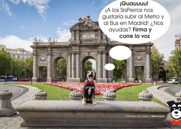 Perlas variadas a la propuesta de permitir el acceso de perros en los transportes públicos