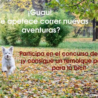 Concurso SrPerro para canes aventureros, ¡consigue un remolque de bici …
