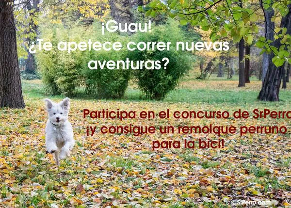 Concurso SrPerro para canes aventureros, ¡consigue un remolque de bici para salir de ruta con tu perro!