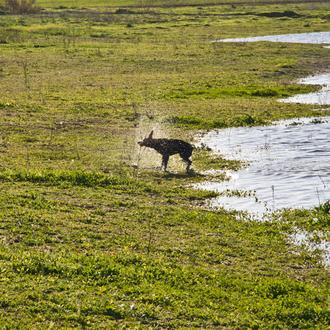 Alergias y problemas respiratorios en primavera