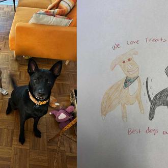 En solo cuatro días, una protectora logra recaudar más de …