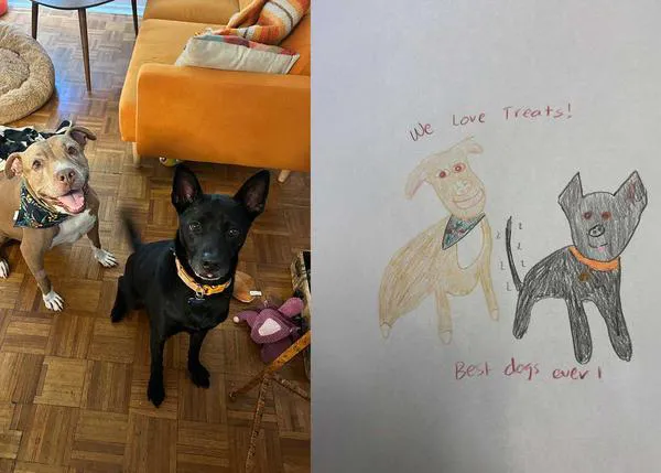 En solo cuatro días, una protectora logra recaudar más de 9000 euros con pésimos retratos de perros, gatos y otros animales