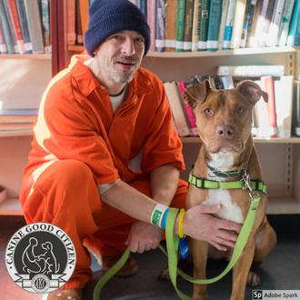 Cuando la cárcel es la salvación de perros y humanos …