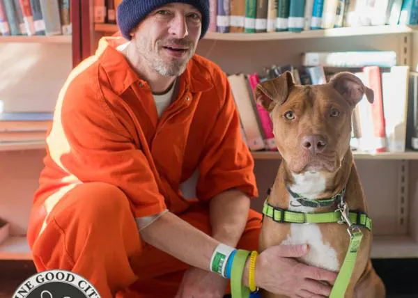Cuando la cárcel es la salvación de perros y humanos: emparejan a canes en riesgo de sacrificio con presos