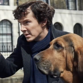 Problemillas caninos en el set de Sherlock, la serie protagonizada …