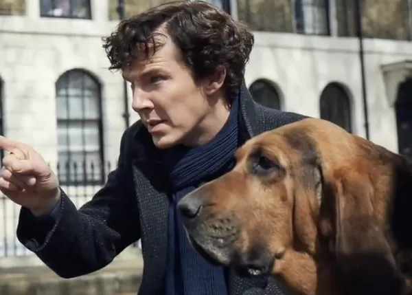 Problemillas caninos en el set de Sherlock, la serie protagonizada por Benedict Cumberbatch
