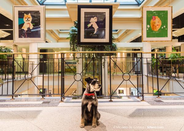 Dani Loves Dogs: una perruna y divina expo con los retratos creados por Dani Wilde