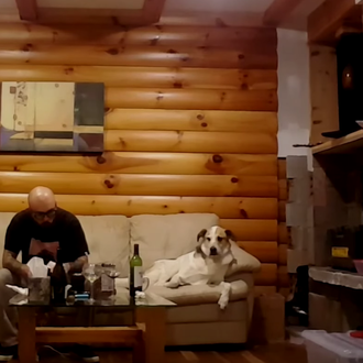Estrategias caninas a la hora de comer... o cómo conseguir …