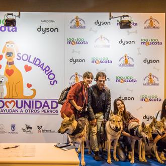 Un plan perruno para toda la familia en Madrid: 100x100 …
