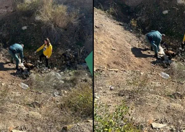 La protectora Refugio de Sori denuncia la existencia de fosas con perros y otros animales muertos en Hellín