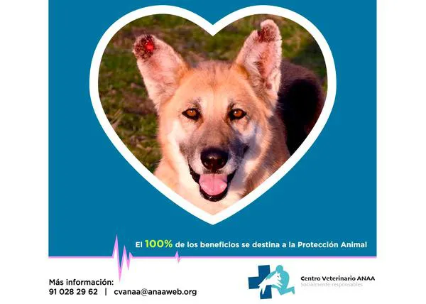 Campaña de prevención y detección de Leishmananiosis en ANAA