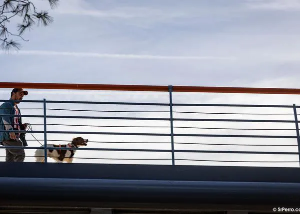 La importancia de la alimentación para la salud de perros y gatos y el rol de los veterinarios contra la desinformación