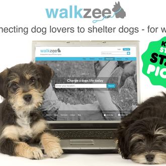 Paseos de perros solidarios: una web pone en contacto a …