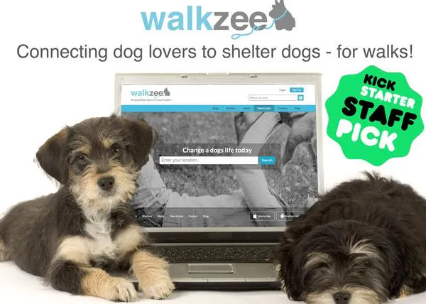 Paseos de perros solidarios: una web pone en contacto a voluntarios y protectoras