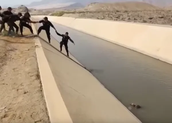 Un rescate perruno de infarto: una cadena humana para sacar a un can de un canal