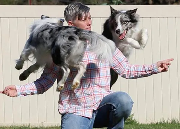 Un récord Guinness perruno con efectos didácticos: Emily Larlham y la educación canina en positivo