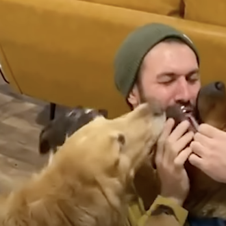 El presunto perro agresivo a quien no le gustaban los …