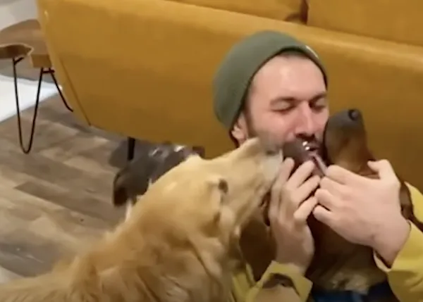 El presunto perro agresivo a quien no le gustaban los hombres: adoptado por un hombre y su manada de canes