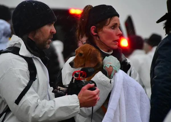 Activistas logran sacar a 22 Beagles de Ridglan Farms, criadero de perros para experimentación acusado de maltrato animal