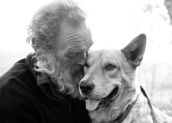 La generosidad de muchos extraños salva al perro de un hombre sin hogar