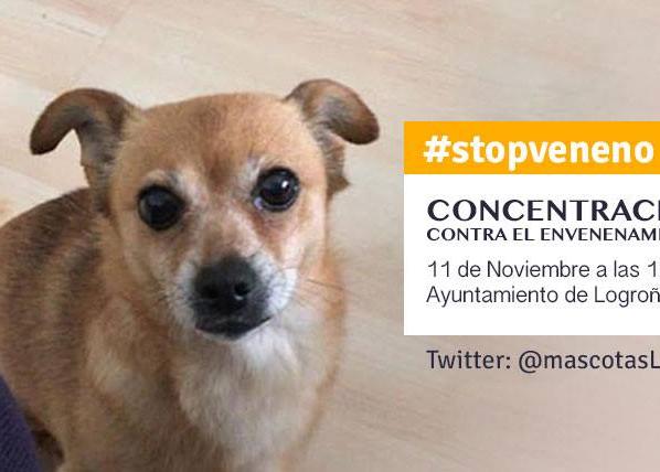 Psicosis entre los dueños de perro en Logroño ante los casos de envenenamientos