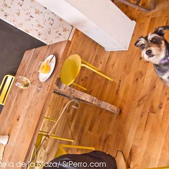 Olé con perro, también conocida como la ruta del salmorejo …