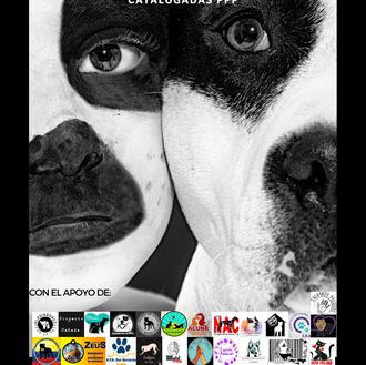 ¿Más cerca que nunca de la derogación de la actual …