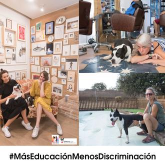 #MásEducaciónMenosDiscriminación: porque todos son perros y su raza no debería …