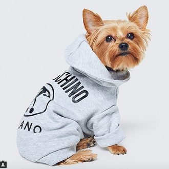 Breaking news para fashionistas con perro: Moschino ha diseñado una …